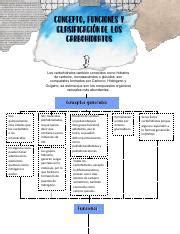 Mapa conceptual de la definición función y clasificación de los