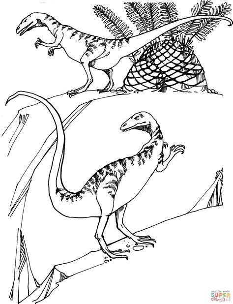 Coloriage Compsognathus du Jurassique dinosaure théropode