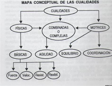 Cualidades Fisicas Y Motrices Hot Sex Picture