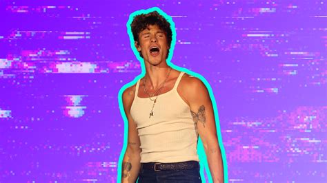 Shawn Mendes Spoke Candidly About His Sexuality On Stage