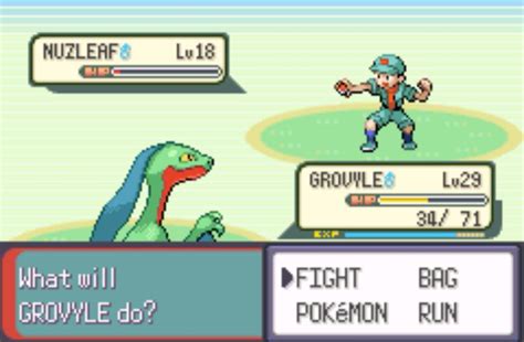 Lol my pokemon emerald bugged a little... : r/pokemon