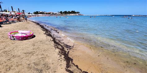 Trani La Spiaggia Di Colonna Invasa Da Materiale Bruciato Volontari