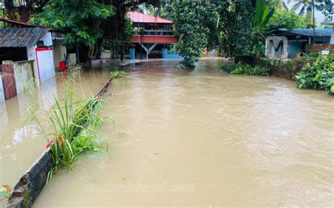 Rains Continue To Lash Kerala Low Lying Areas In Kochi