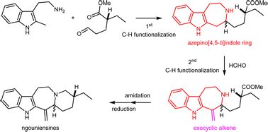 Ch Functionalization Of Alkyl Tryptamines Direct Assembly Of