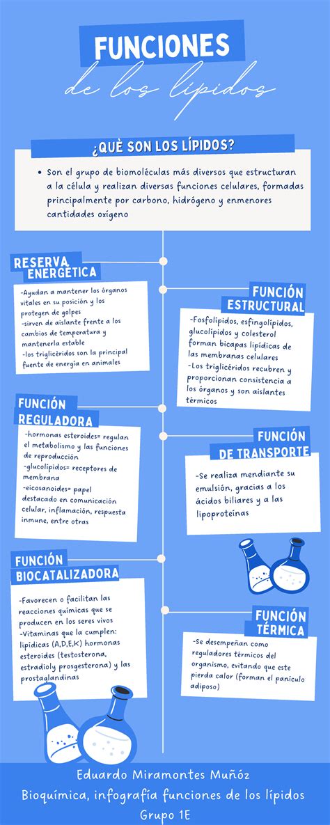 Infografía Funciones de Lípidos hormonas esteroides regulan el