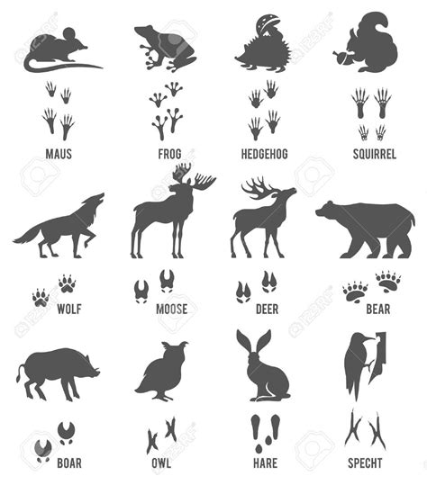 the silhouettes of different animals and their names in black on a ...