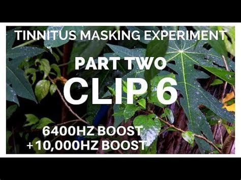 Tinnitus Masking Test | CLIP 6 | Thailand Rain and Bird Sounds | 6400Hz ...