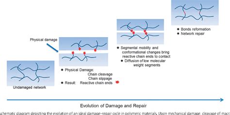 Figure 1 From Self Healing Polymeric Materials Semantic Scholar