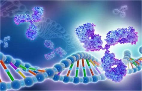 Discover the Applications and Uses of Recombinant Human Protein