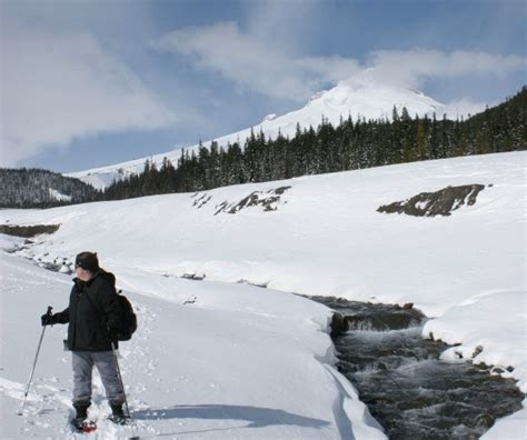 White River Snowshoe Trail Mt Hood | fluffymainecoonny