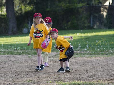 Softball Players Hitter Free Photo On Pixabay Pixabay