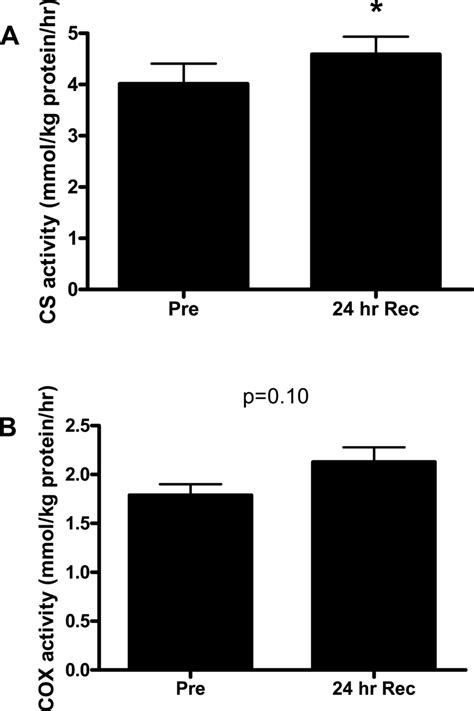 Maximal Enzyme Activity Of Cs A And Cox B Measured In Skeletal