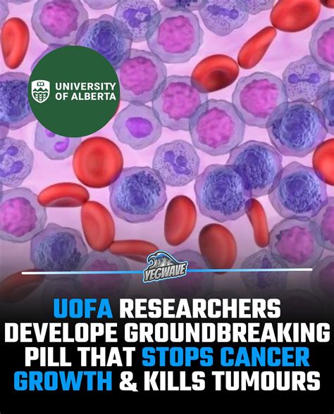 YEGWAVE (@yegwave) • Instagram photos and videos