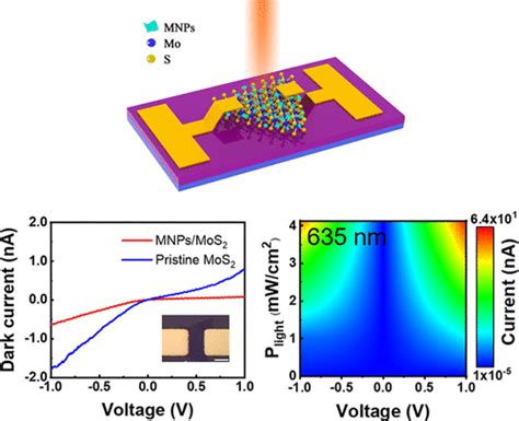 Plasmonic Mxene Nanoparticle Enabled High Performance Two Dimensional