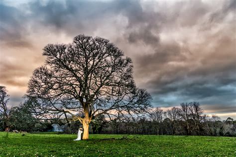 Wedding Gallery Venues In Killarney Muckross Park Hotel