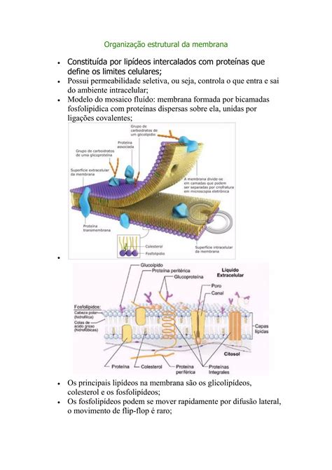 Estrutura E Função Da Membrana Plasmática Pdf