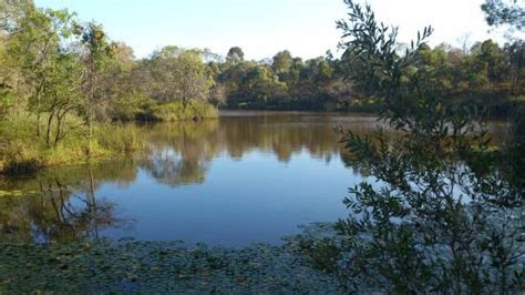 berrinba wetlands park browns plains