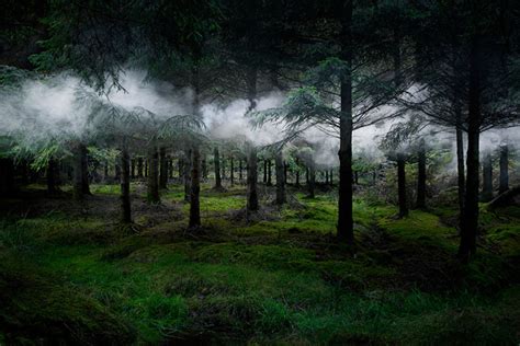 Artist Creates Beautifully Eerie Installations In The Forests Of The