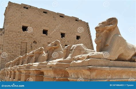 Scene From Egyptian Temples On The Nile River Stock Image Image Of