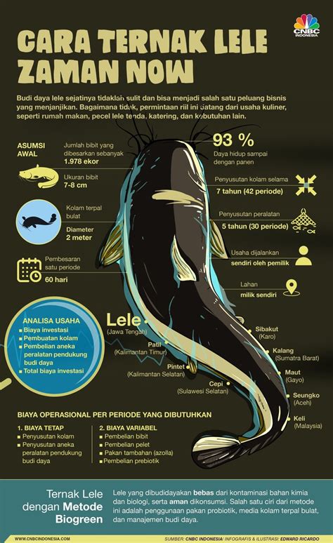 Budidaya Ikan Lele Pengetahuan Kiat Bisnis Biologi Kelautan