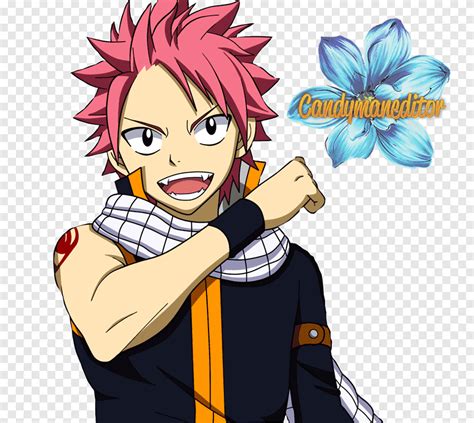 Natsu Dragneel Gris Fullbuster Hada Cola Erza Escarlata Zeref