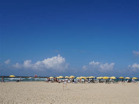 Banana Beach Attractions In Tel Aviv Beach Israel