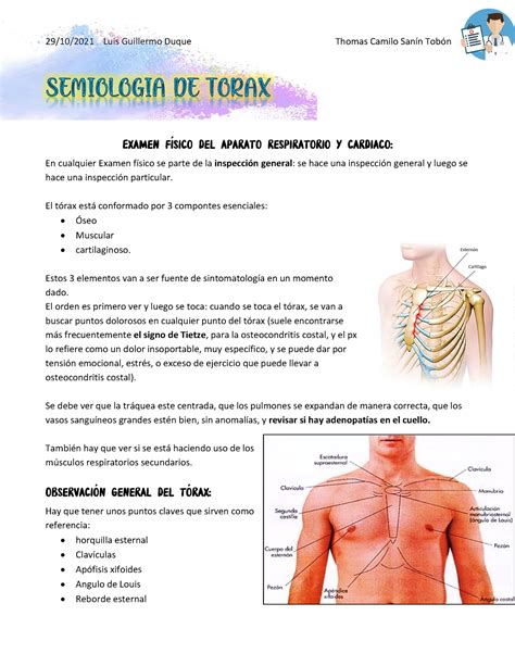 Semiologia De Torax Notes En Cualquier Examen F Sico Se Parte De La