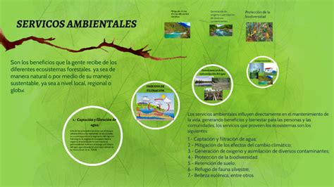 Servicios Ambientales By Karina Flores On Prezi