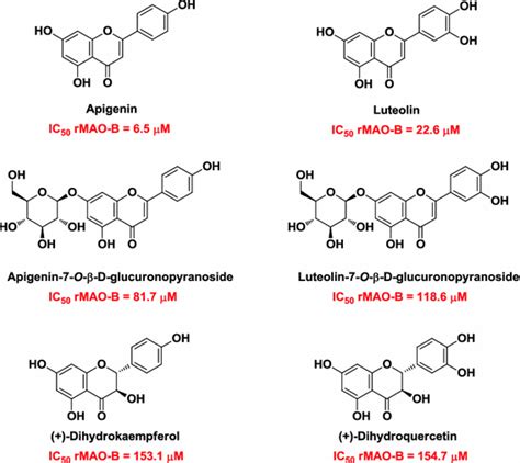 Selective Mao B Inhibitors A Lesson From Natural Products Springerlink