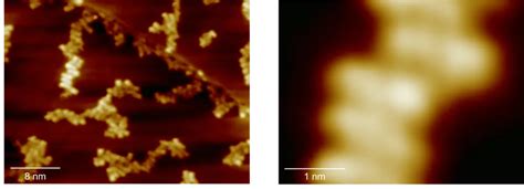 The World S First X Ray Of A Single Atom