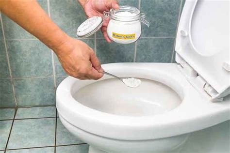 How To Remove Urine Stains From Toilet Seat Amarco Plumbing