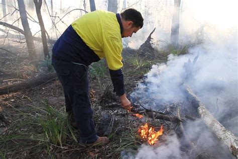 Cultural Burning Stops Australian Inferno Dead In Its Tracks By