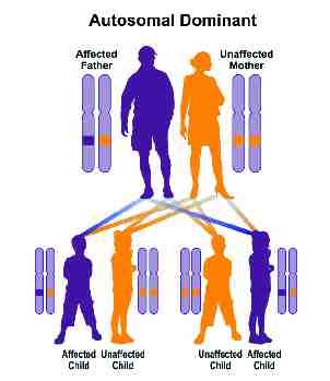 Hereditary Ocular Disease - Research to Prevent Blindness