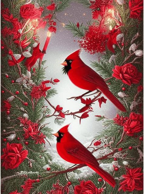 Amazon North American Cardinal Diamond Painting Kits Red Birds D