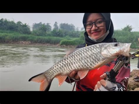 CASTING IKAN HAMPALA IKAN PREDATOR ARUS DERAS SUNGAI CISADANE YouTube