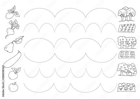 Tracing Practice Directions Trace Each Dotted Line Form The Vegetable