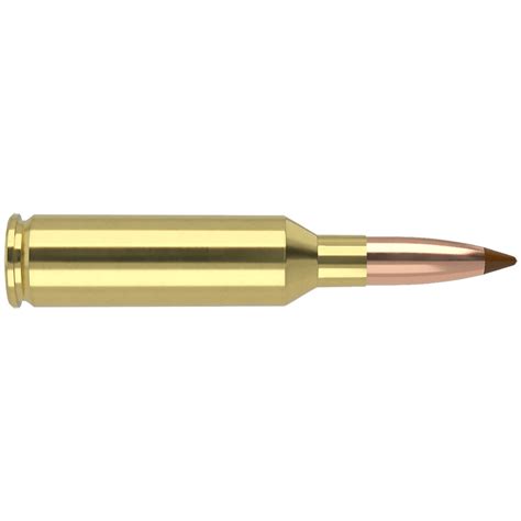 Nosler Ballistic Tip Hunting Ammunition 6 5 Prc 140 Gr Ballistic Tip 2900 Fps Model 43457