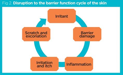 Incontinence Associated Dermatitis 2 Assessment Diagnosis And Management Nursing Times