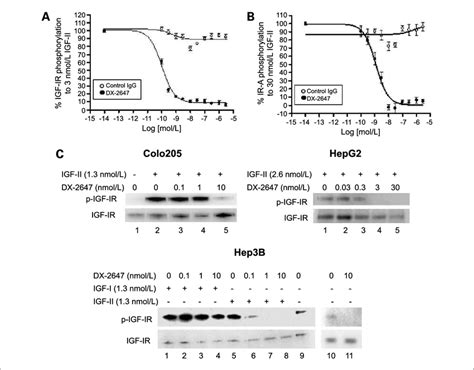 Dx Blocks Igf Driven Cell Signaling Events Dose Dependent