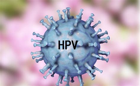 Hpv感染 女性高危型hpv1618阳性是怎么引起的？ 哔哩哔哩