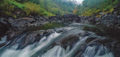 Oregon Forest Waters - Wild Salmon Center