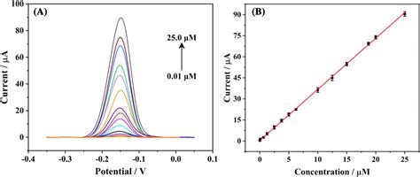 A The Dpv Responses Of Mp With Different Concentrations At Dgnr Gce And