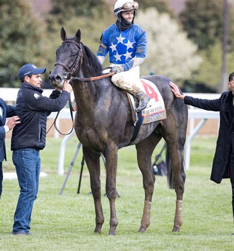 Veiled Threat - FIRESTONE RACING STABLES