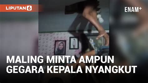 Apes Maling Di Cirebon Minta Tolong Gegara Kepala Tersangkut Di Plafon