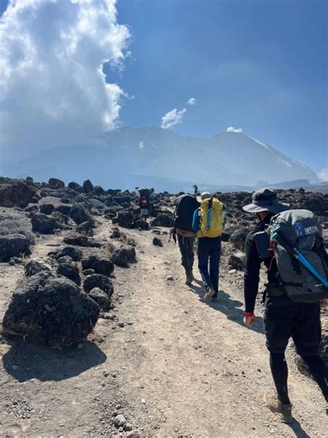 Ascenso Al Kilimanjaro D As Ruta Lemosho Para Grupo Reducido