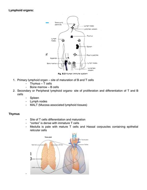 SOLUTION Immunology Serolog Notes Studypool