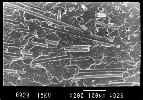 Sem Micrographs Of Impact Fracture Surfaces Of Pure Polymers