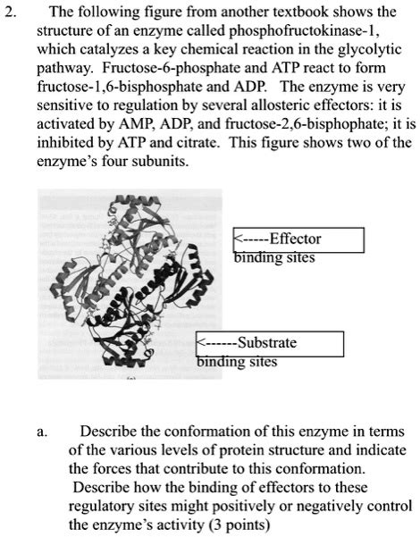 SOLVED: The following figure from another textbook shows the structure of an enzyme called ...