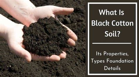 Understanding Black Cotton Soil: Types, Properties, Composition