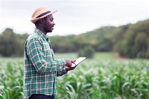 eSocial produtor rural o que é obrigatório comercialização e isenções